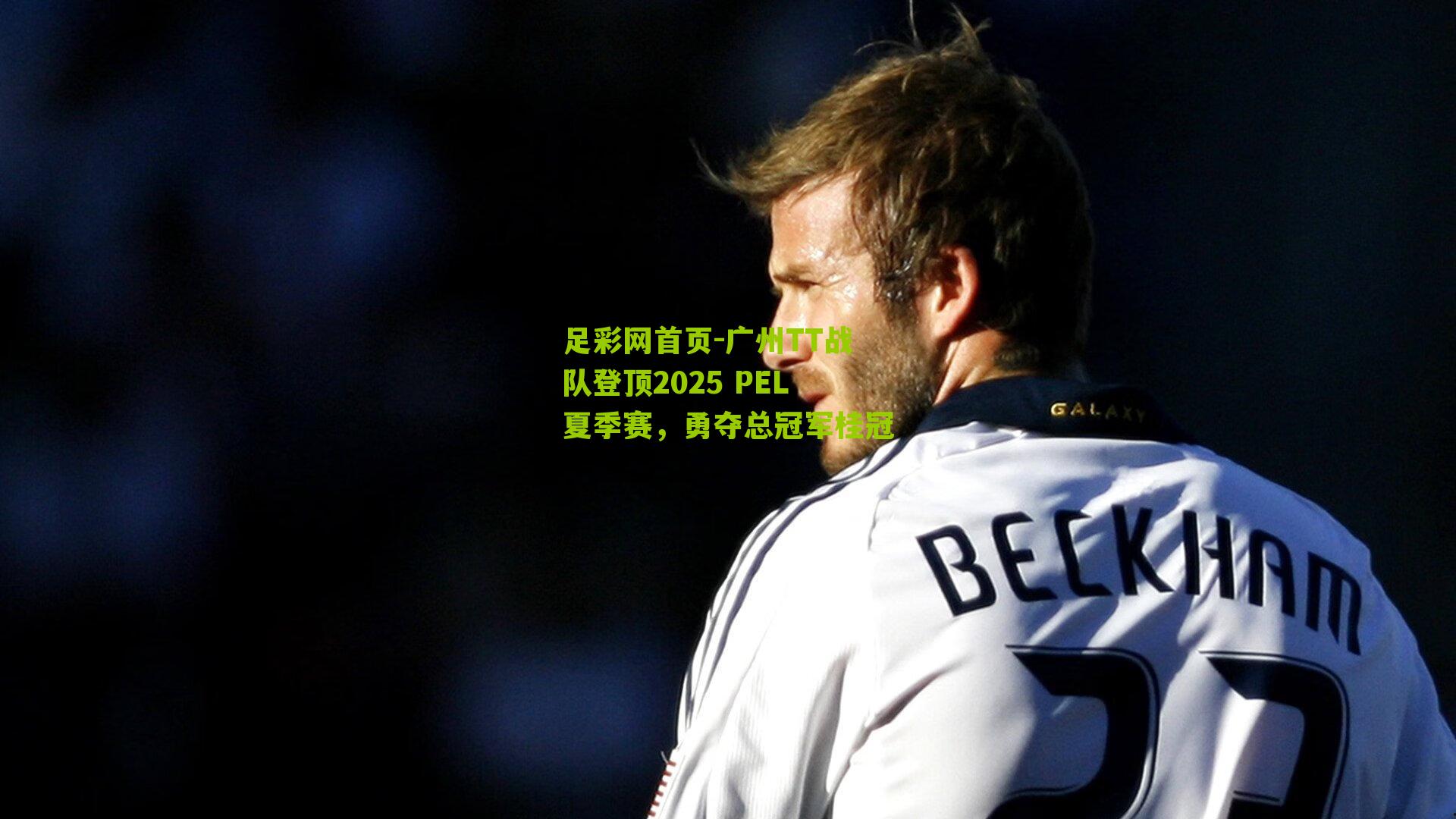 广州TT战队登顶2025 PEL夏季赛,勇夺总冠军桂冠